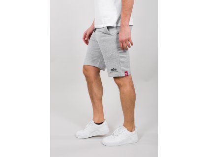 Alpha Industries BIG LETTER SHORT grey pánske šortky