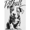 pitbull-west-coast-damske-tielko-puppy-white-4