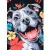 pitbull-west-coast-damske-tricko-happy-pit-2-black-3
