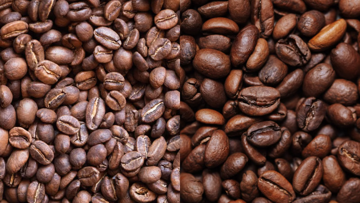 Arabica vs. robusta: Jaký je mezi nimi rozdíl a kterou kávu si vybrat?
