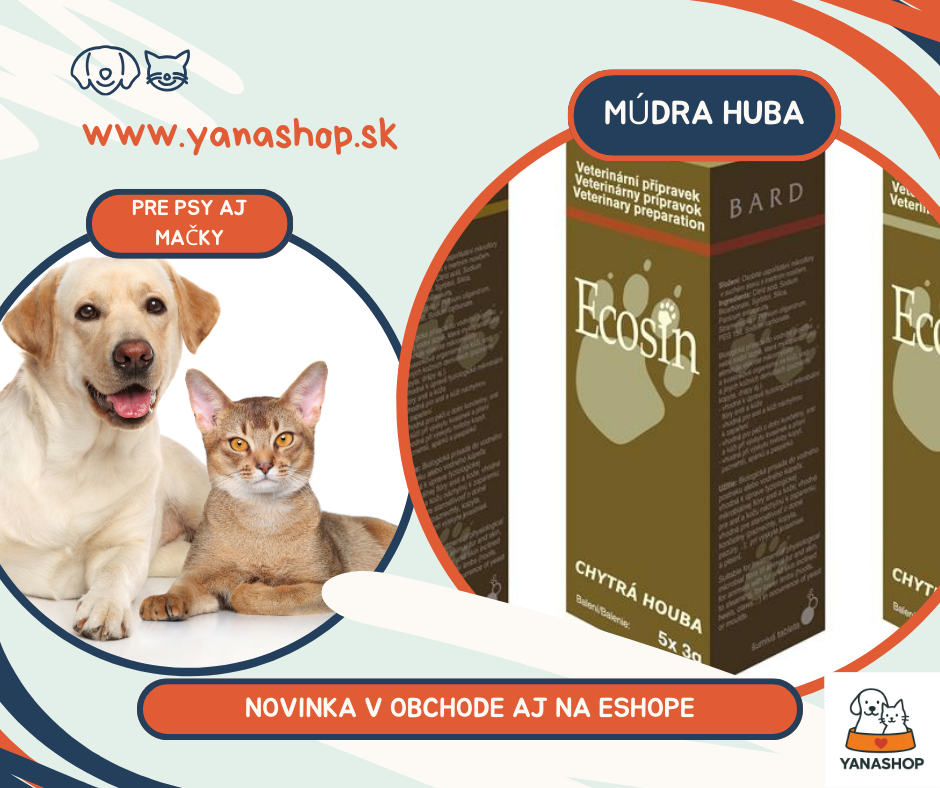 Keď koža svrbí: prečo sa problémy stále vracajú a čo s tým?