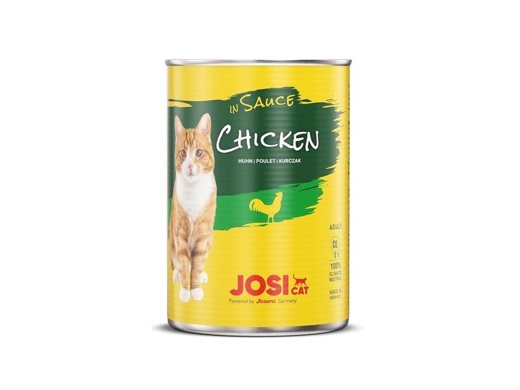 OBC025329 1730795621