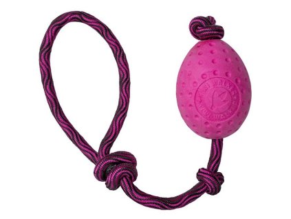 kiwi egg3