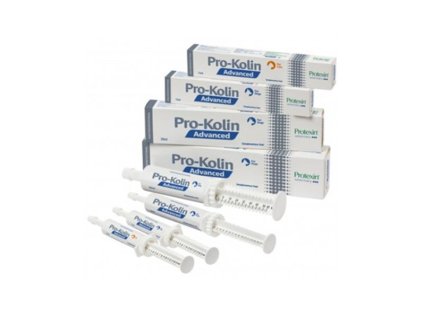 OBC018462 1560851295