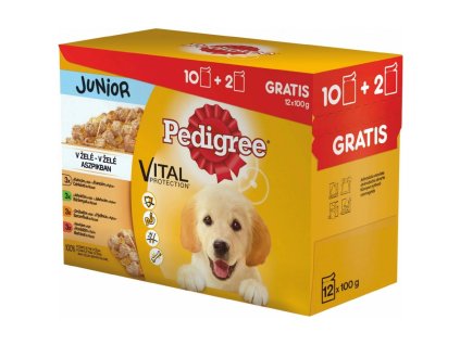 pedigree junior