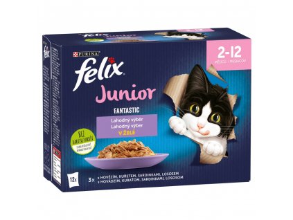 Felix Junior 12x85g