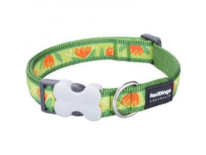 Red Dingo Obojok zelený tropical  30-47cm