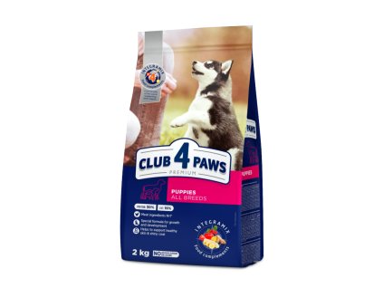 table dog medium en
