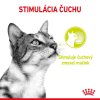 Efekt Royal Canin FHN sensory smell gravy kapsička pre mačky 85 g