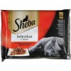 Sheba Selection mäsový výber šťava 4x85g