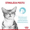 Efekt Royal Canin FHN sensory feel gravy kapsička pre mačky 85 g