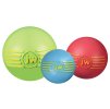 JW Isqueak Ball 7cm lopty pre psov, rôzne farby