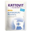 Kattovit Recovery kapsička kura 85g