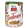 Brit Care pamlsky Christmas  100g