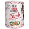 Brit Care pamlsky Lamb 100g