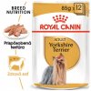 Royal Canin dog kapsička Yorkshire 85g