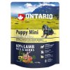 Ontario puppy lamb rice 750g