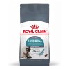 Royal Canin cat Hairball 400g