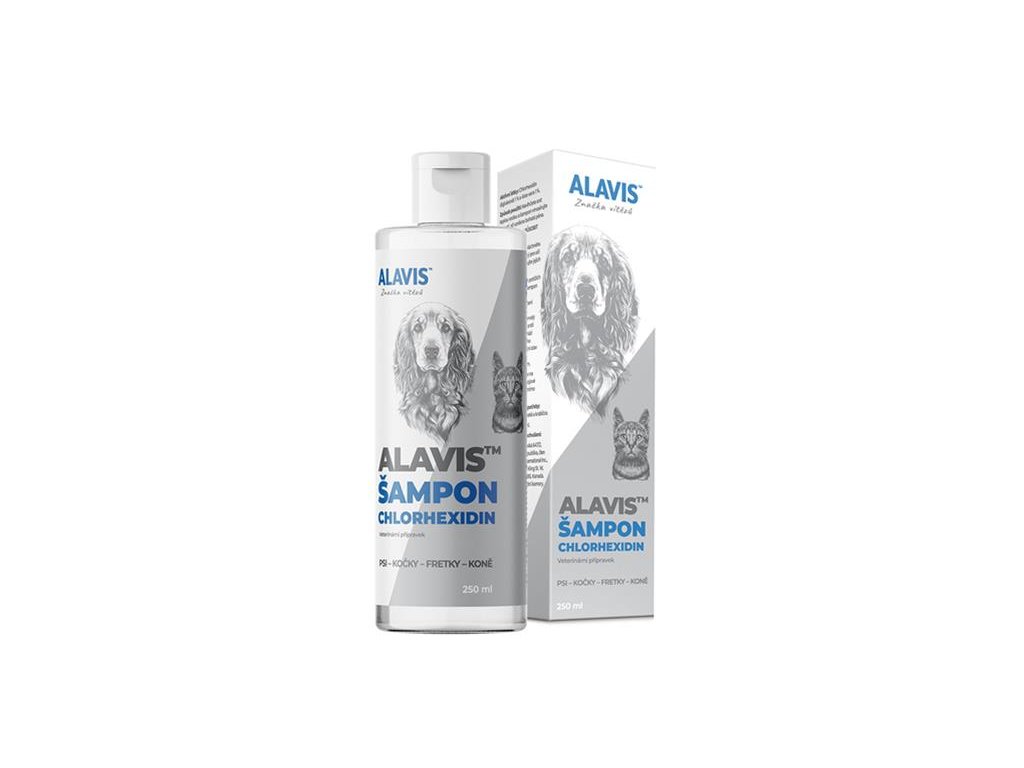 OBC021941 1649232192