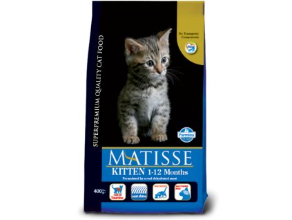 154 52 matisse kitten@web