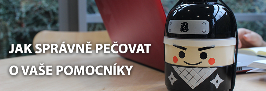 jak-spravne-pecovat-o-vase-pomocniky