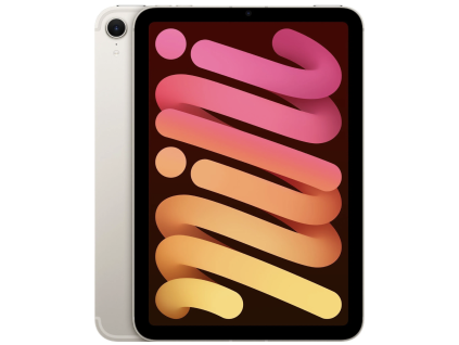 iPadMini1