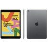 iPad 7 space 2