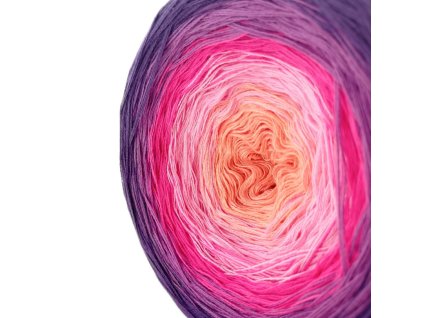 446775 butterfly 134 cassiopeia