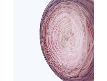 446778 butterfly 135 andromeda