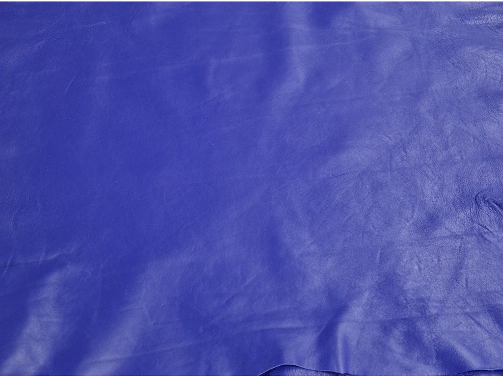 Kozinka fialovo-modrá