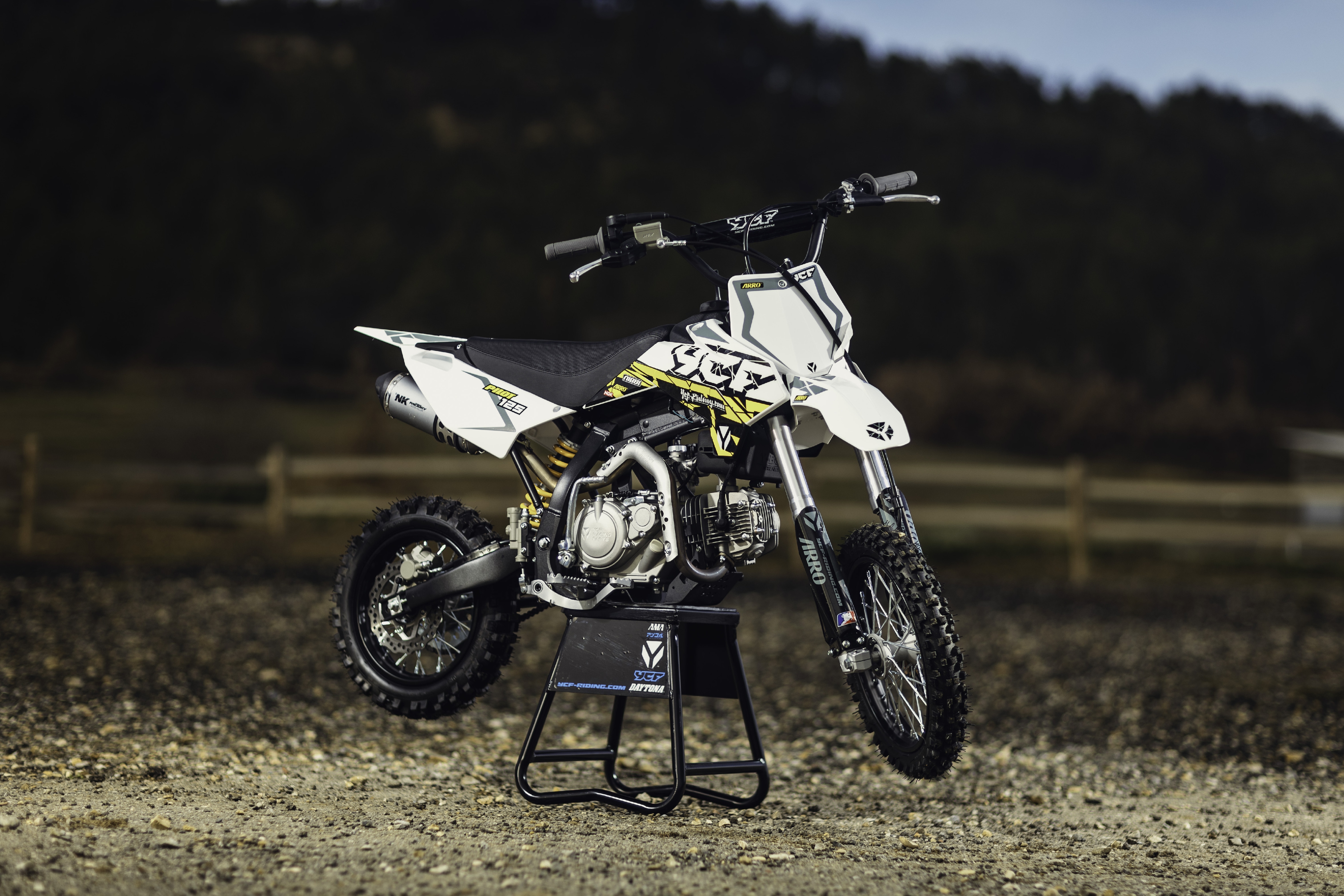 PITBIKE YCF PILOT 125