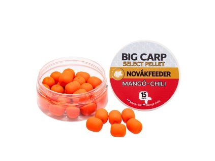 Big Carp Select Mango Mez scaled