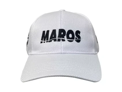 MASA11