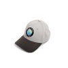 pp 11119 grey established cap main