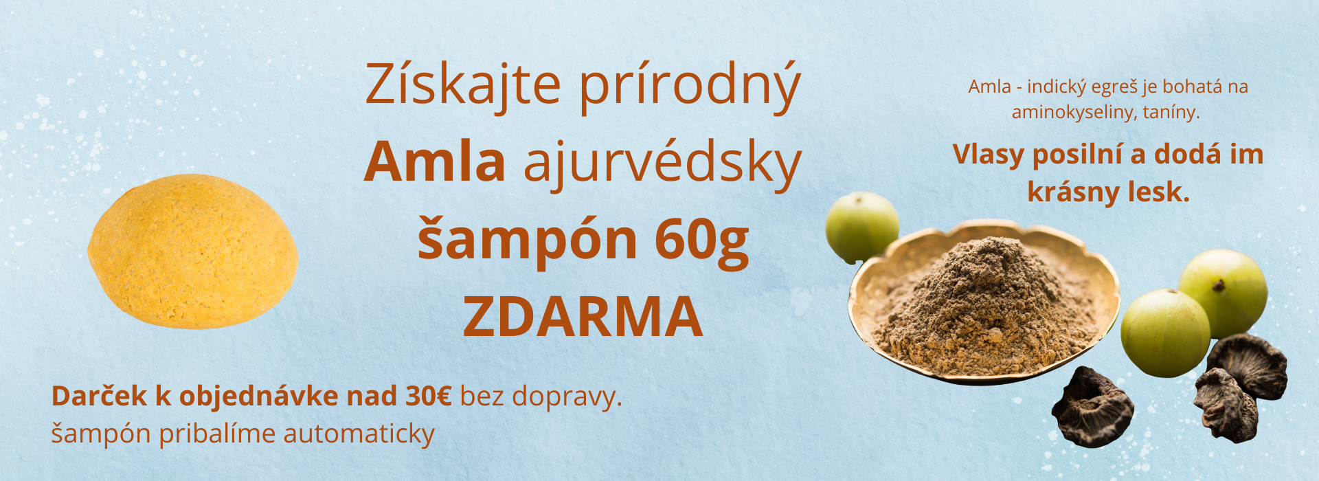 Získajte prírodný AMLA ajurvédsky 60g šampón