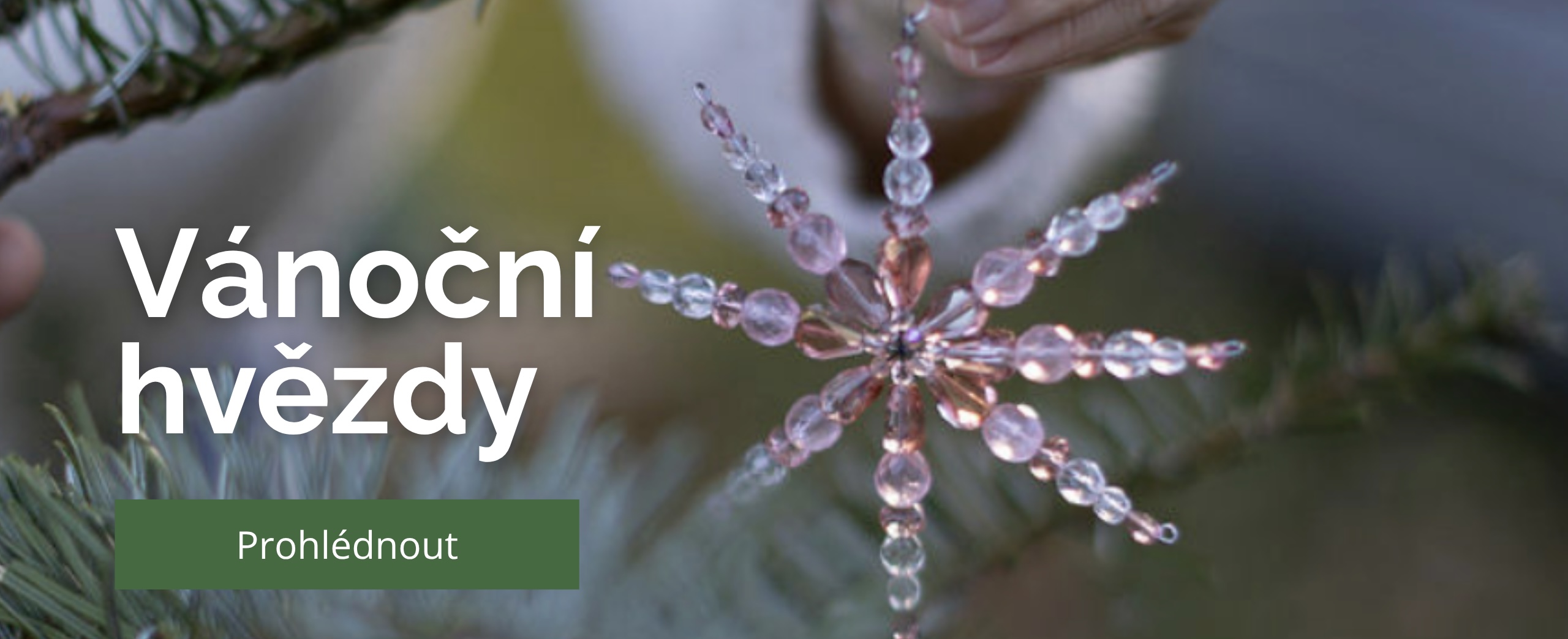 Vánoční hvězdy