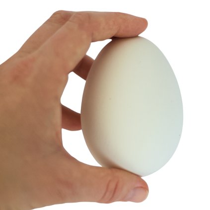Husí vejce 1 ks
