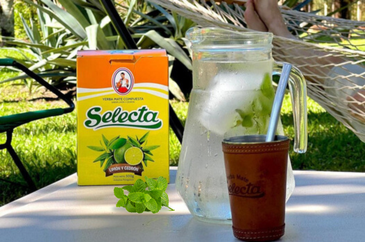 Tereré - the refreshing cold brew of South America