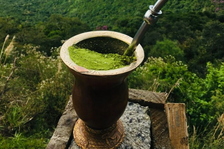 Chimarrão : le maté emblématique du Brésil