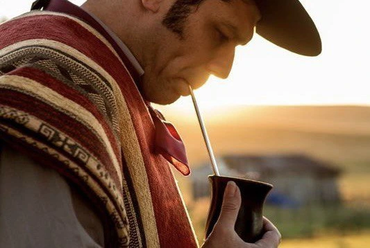 La yerba mate en Paraguay: un legado cultural