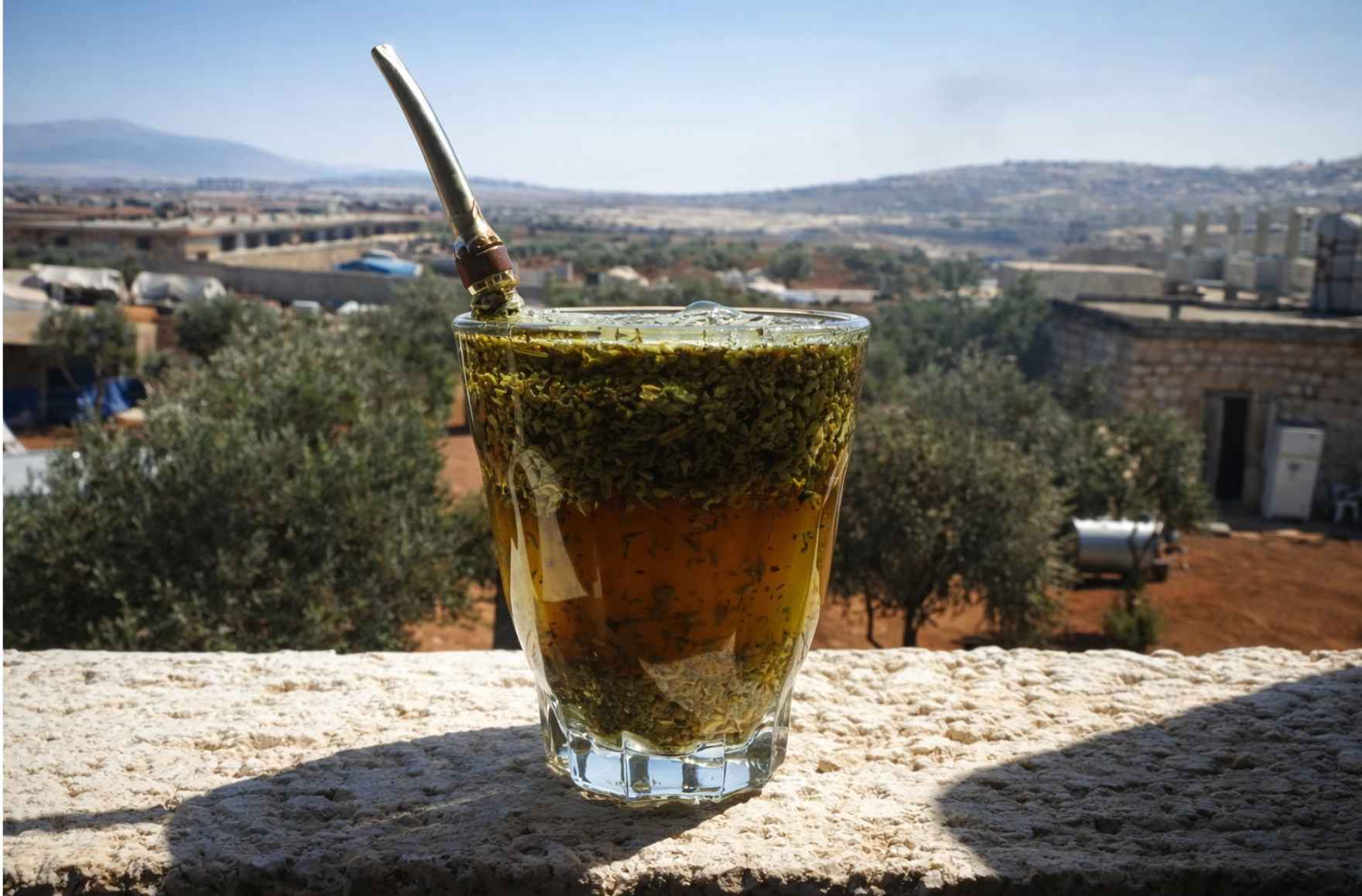 Syrian Yerba Mate