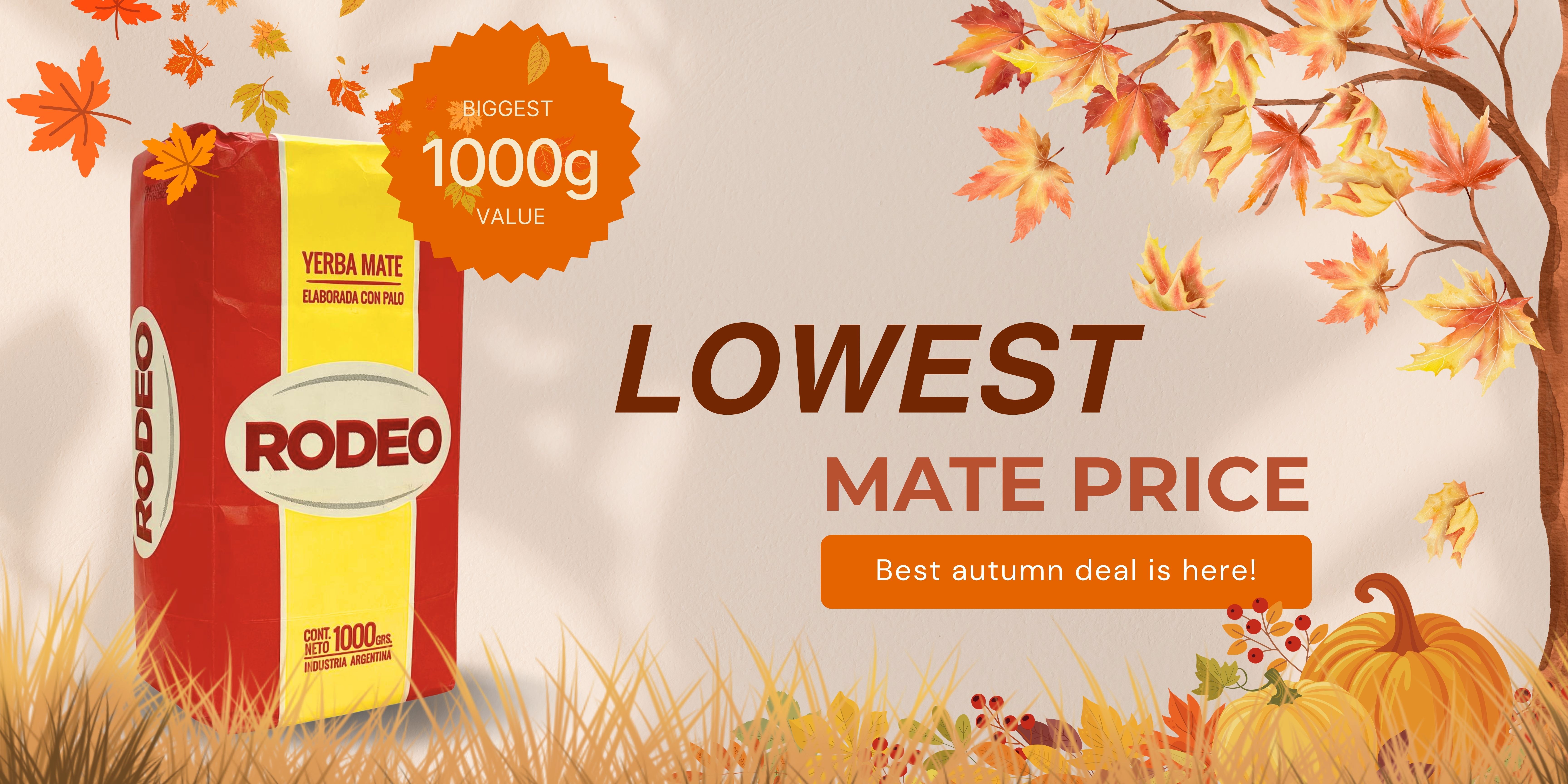 Yerba mate rodeo autumn