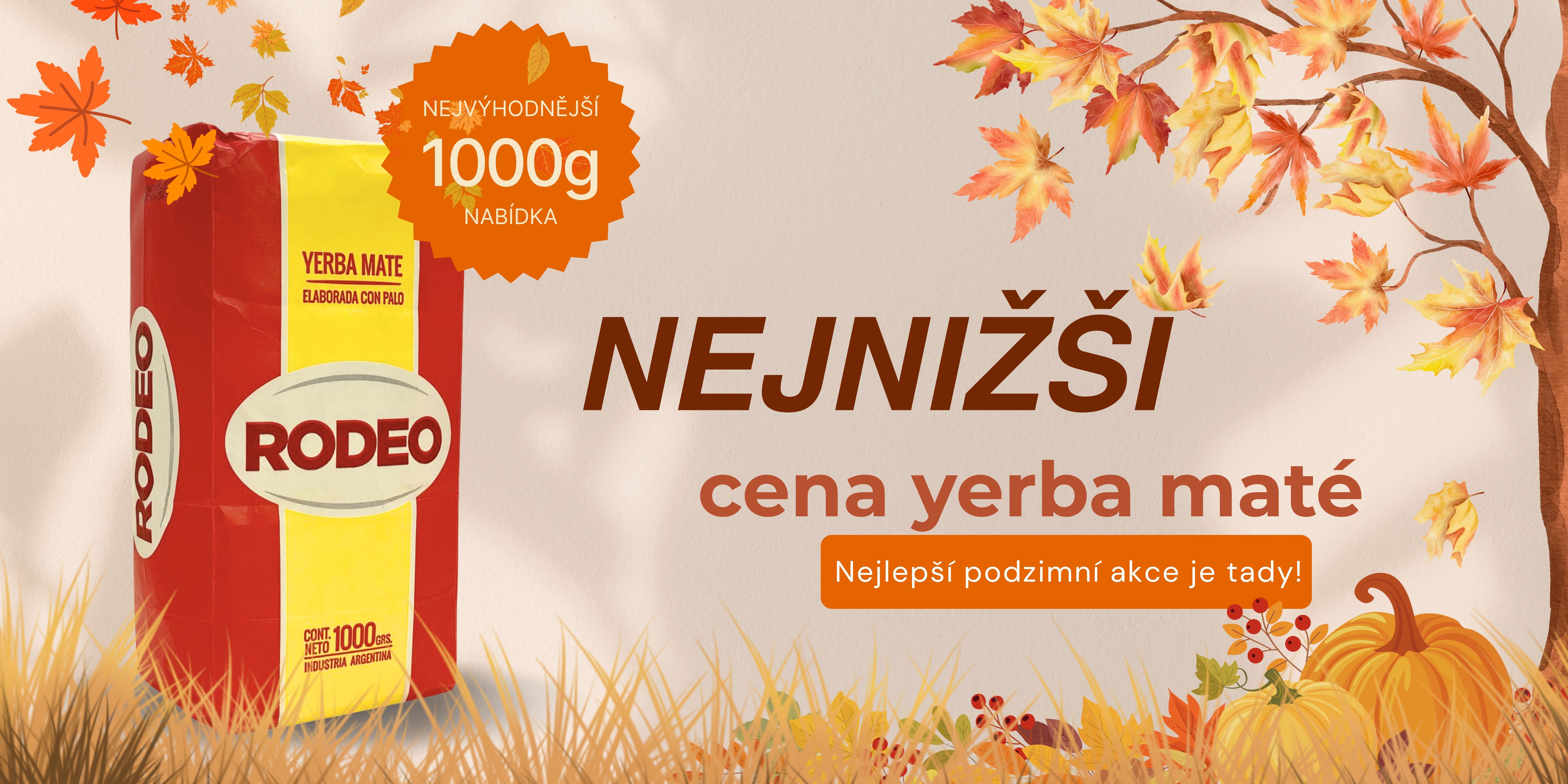 Yerba mate rodeo autumn