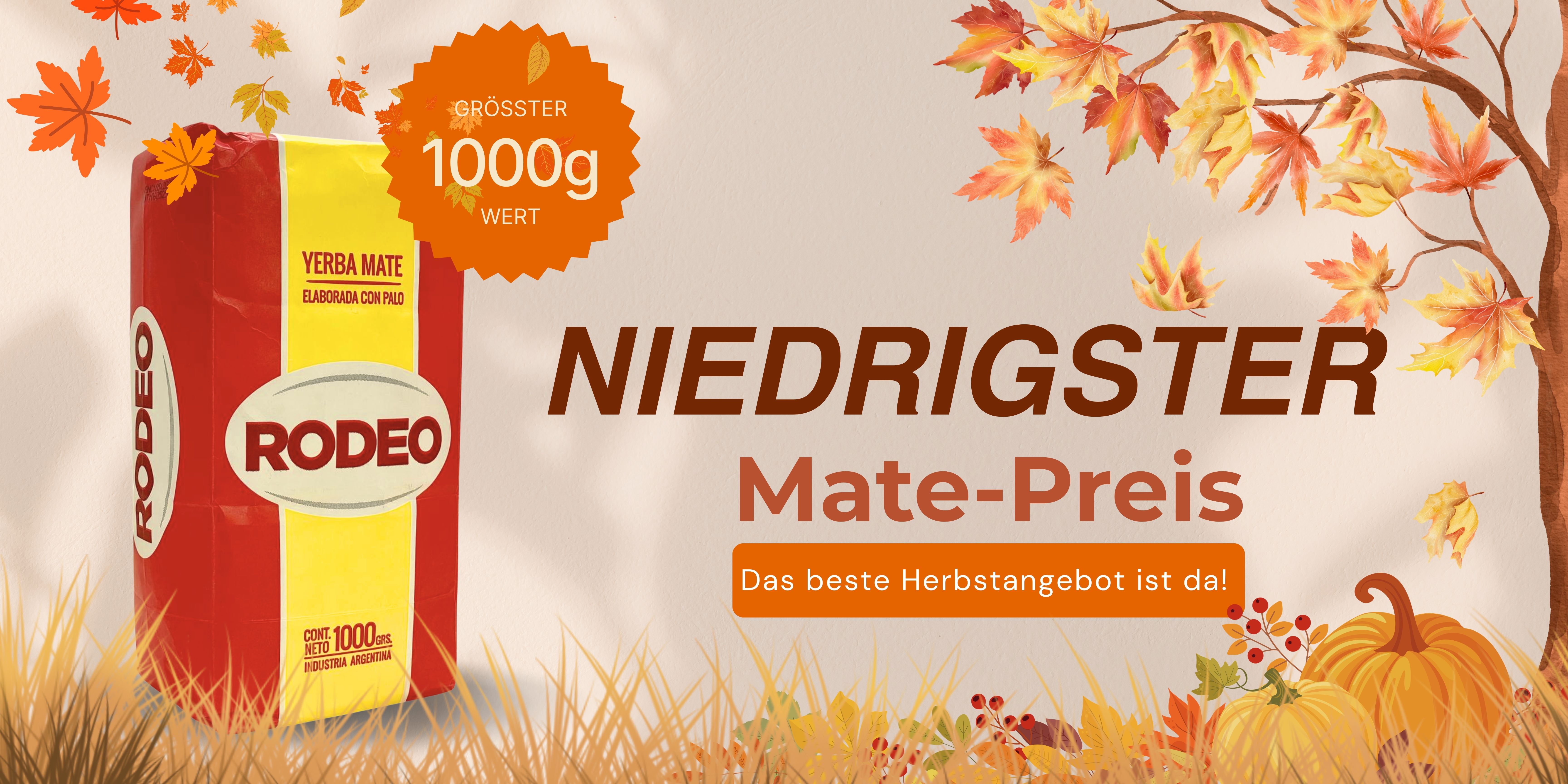 Yerba mate rodeo autumn