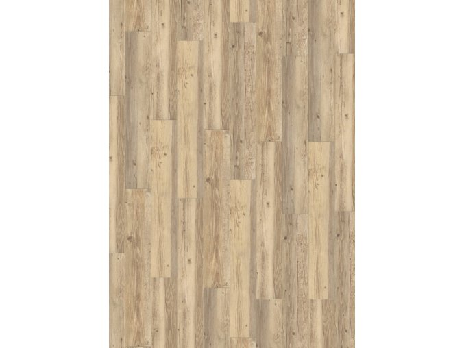 Long Board 0455