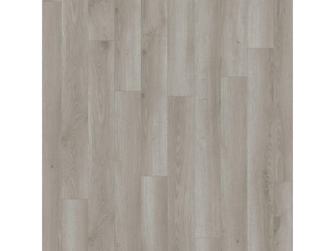 Contemporaty oak grey