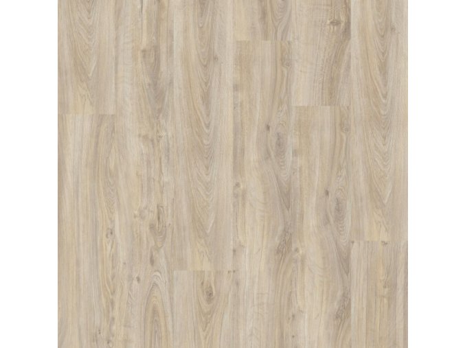 English Oak Grege