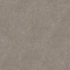 9120 gerflor creation 40 rigid lock 0618 carmel