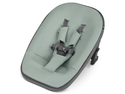 14364 abc design yippy newborn unit mint moji babystar cz