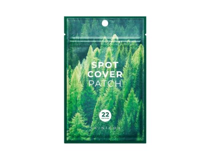 SKIN 1004 - Spot Cover Patch